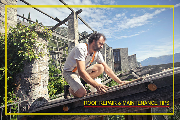 Roof Repair & Maintenance Tips